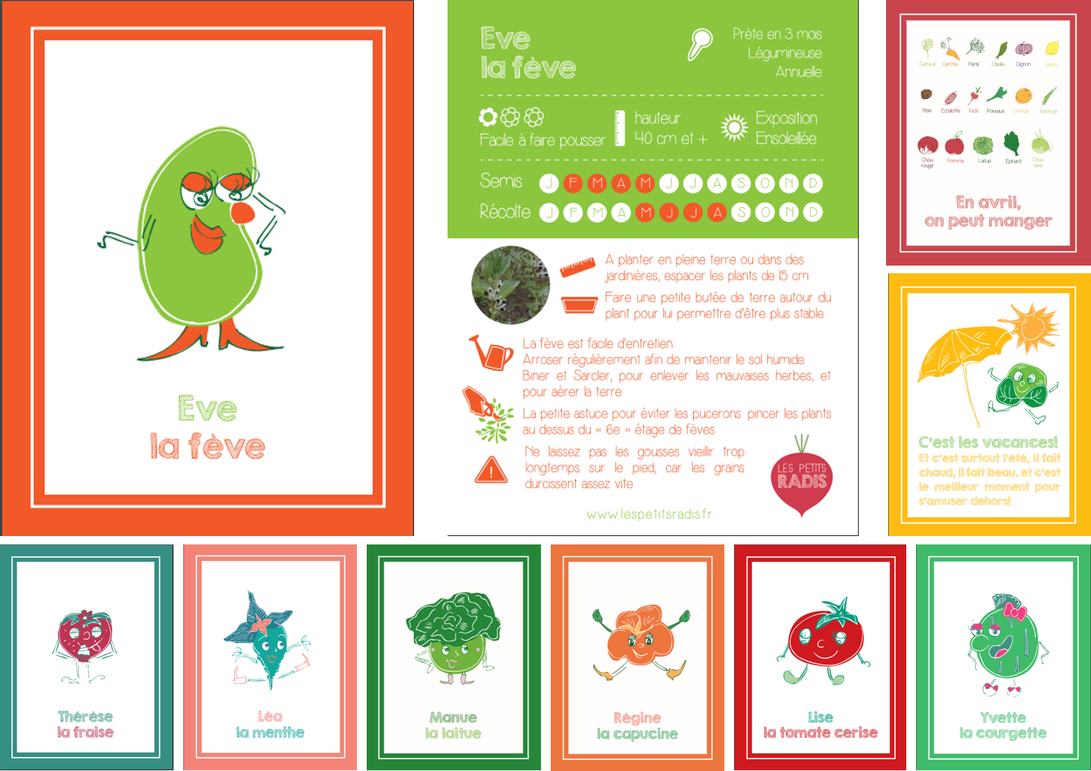 les fiches des petits radis